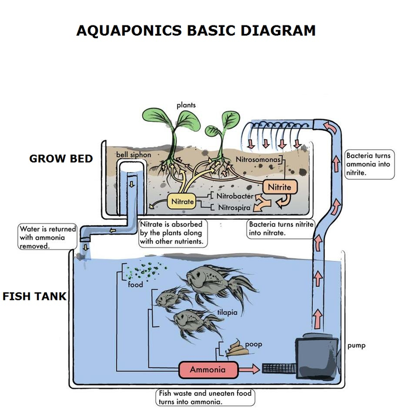 Illustration for article titled How Vertical Farming is Revolutionizing the Way We Grow Food